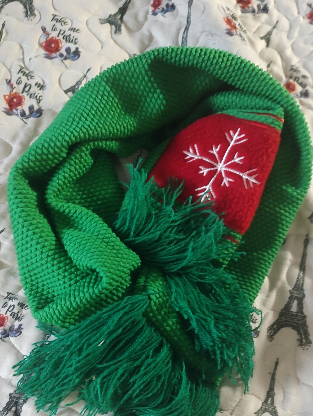 ❄️ Winter Scarf
